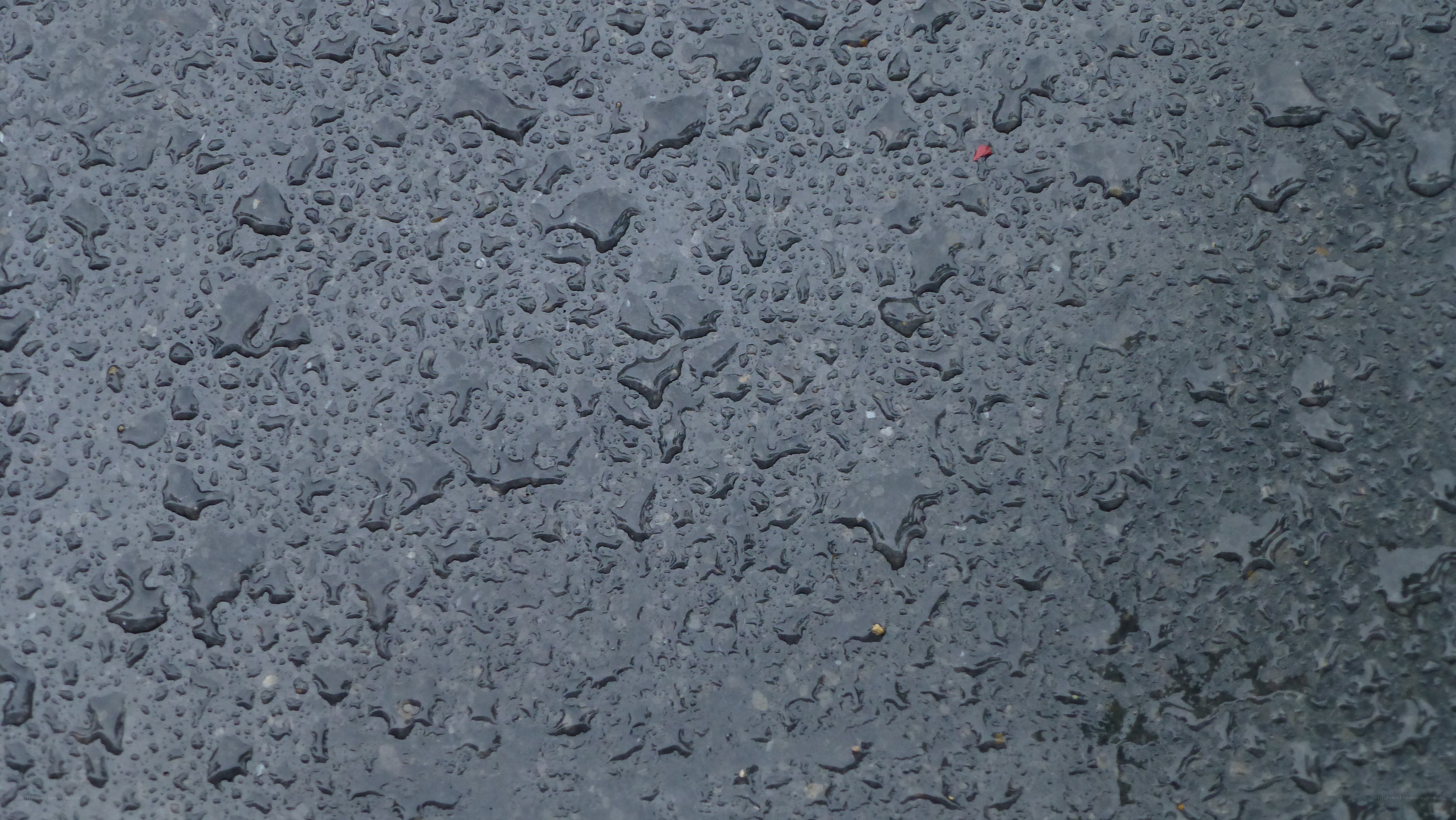 raindrops on asphalt surface