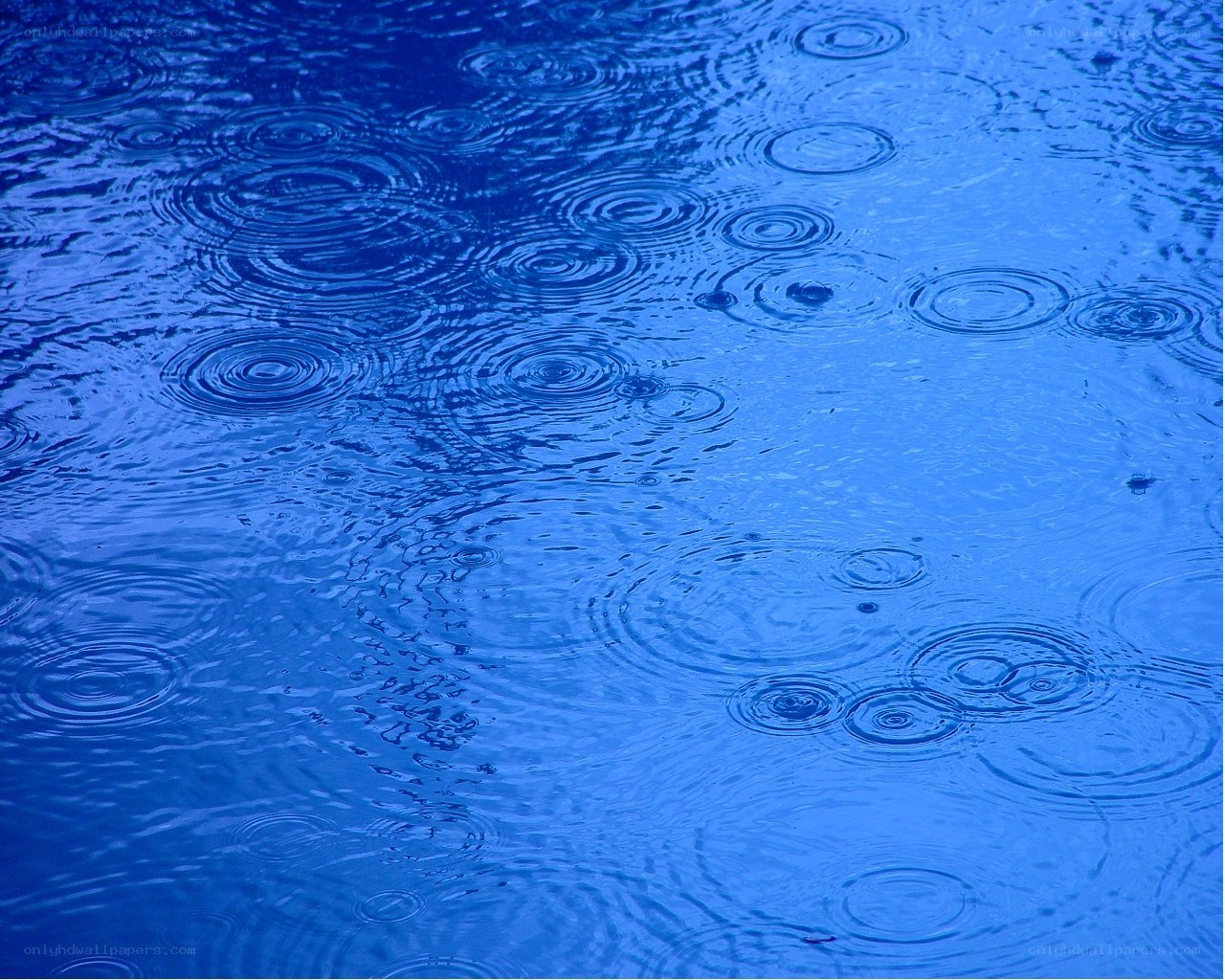 raindrops on blue water