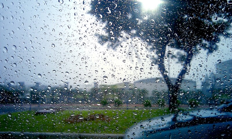 Raindrops on Car Window — Green