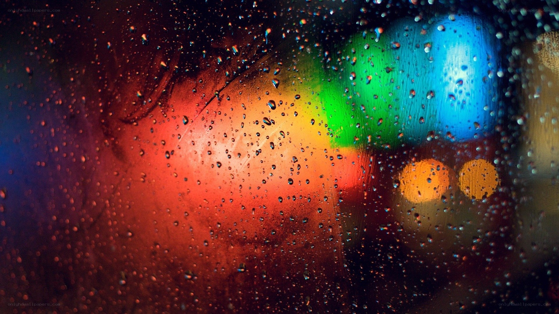 raindrops on colorful lights