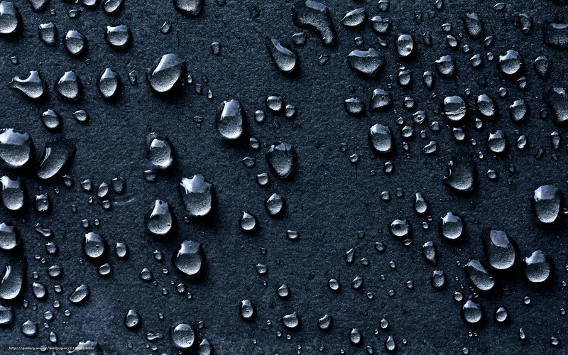 Raindrops on Dark Surface — Black, Calm, Photograph