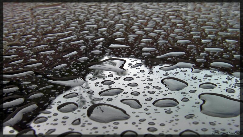 Raindrops on Dark Surface — Black, Calm, Photograph, Water Droplets