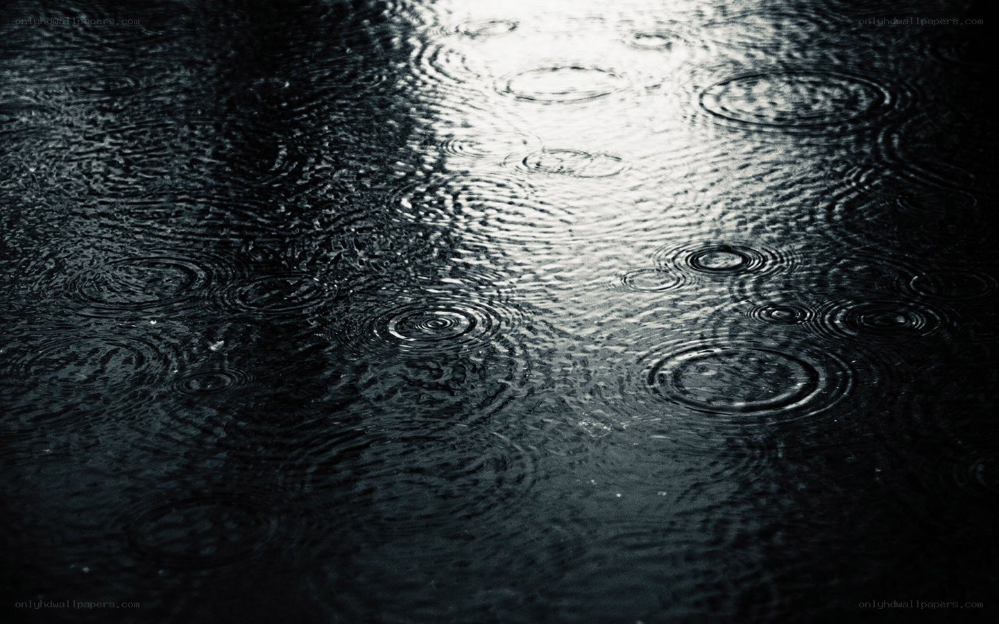 raindrops on dark water