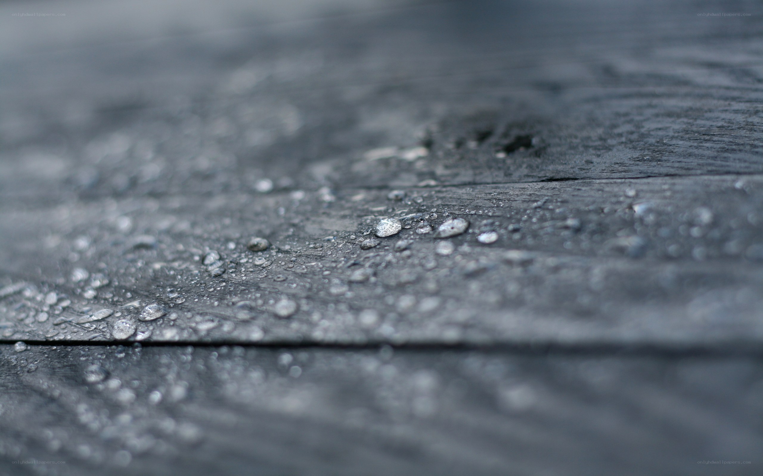 raindrops on dark wood