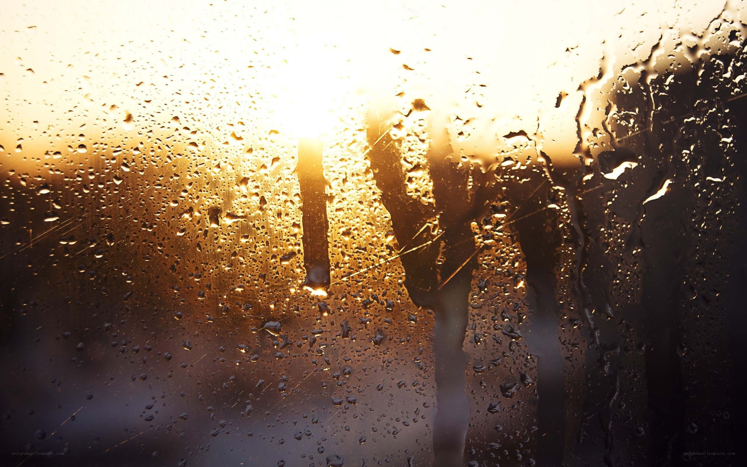 Raindrops on glass at sunset