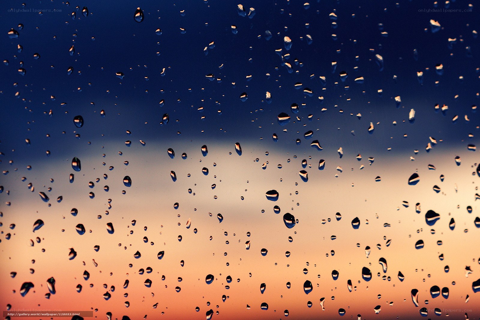 raindrops on glass at sunset