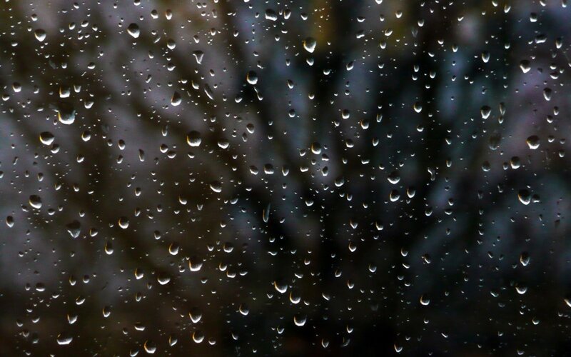 Raindrops on Glass — Black, Calm, Night, Photograph, Trees