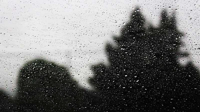 Raindrops on Glass — Black, Dreary, Photograph, Trees, Sky