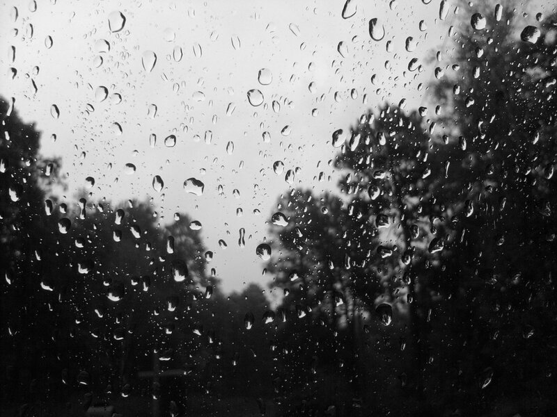 Raindrops on Glass — Black, Dreary, Photograph, Trees