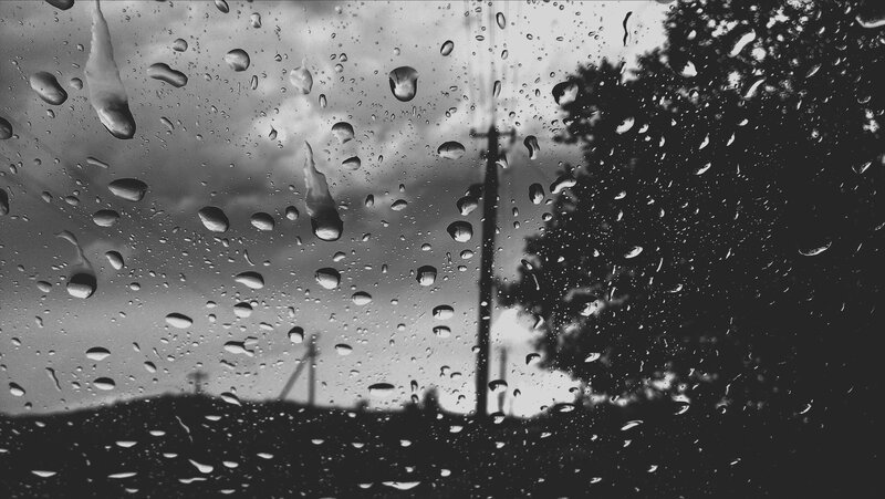 Raindrops on Glass — Black, Gloomy, Photograph, Tree