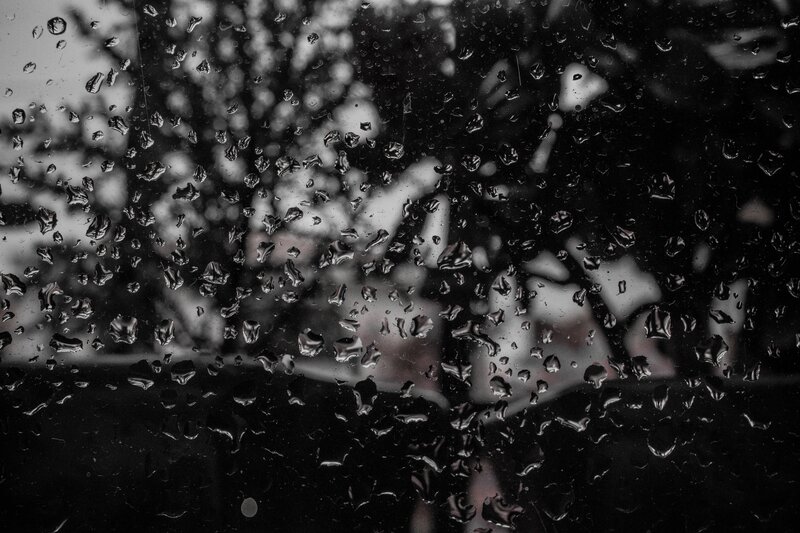 Raindrops on Glass — Black, Moody, Photograph, Trees