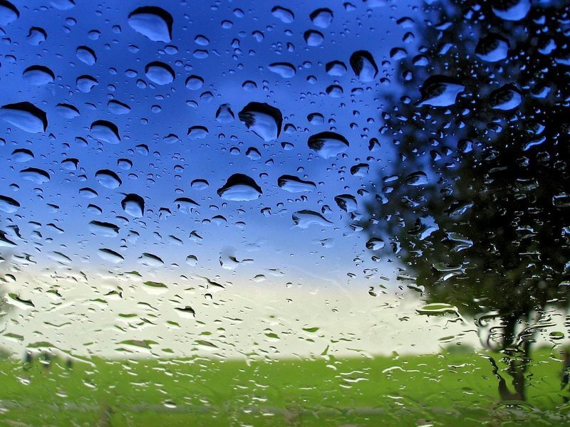 Raindrops on Glass — Blue, Calm, Afternoon, Photograph, Sky, Tree, Grass