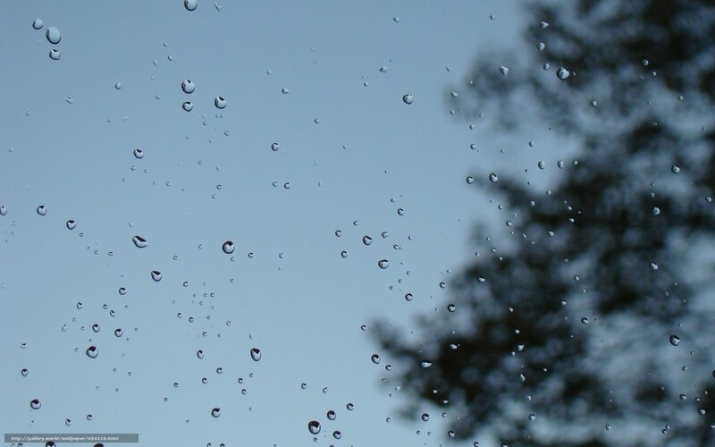 Raindrops on Glass — Blue, Calm, Photograph, Sky, Trees