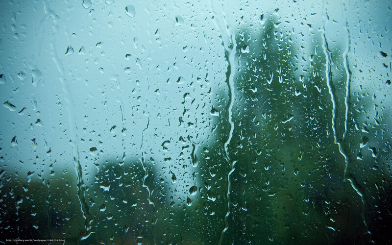 Raindrops on Glass — Blue, Calm, Photograph, Window, Trees