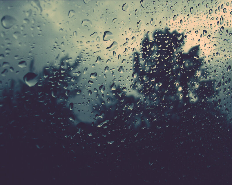 Raindrops on Glass — Blue, Dreary, Photograph, Trees