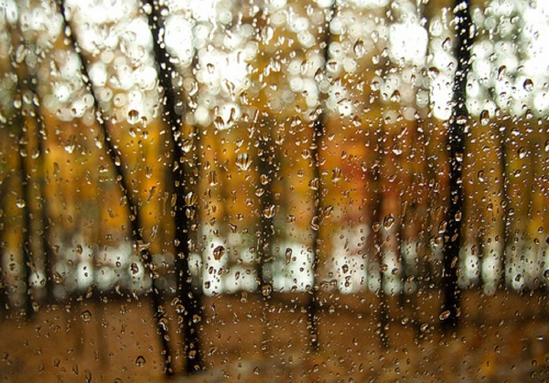 Raindrops on Glass — Brown, Calm, Autumn