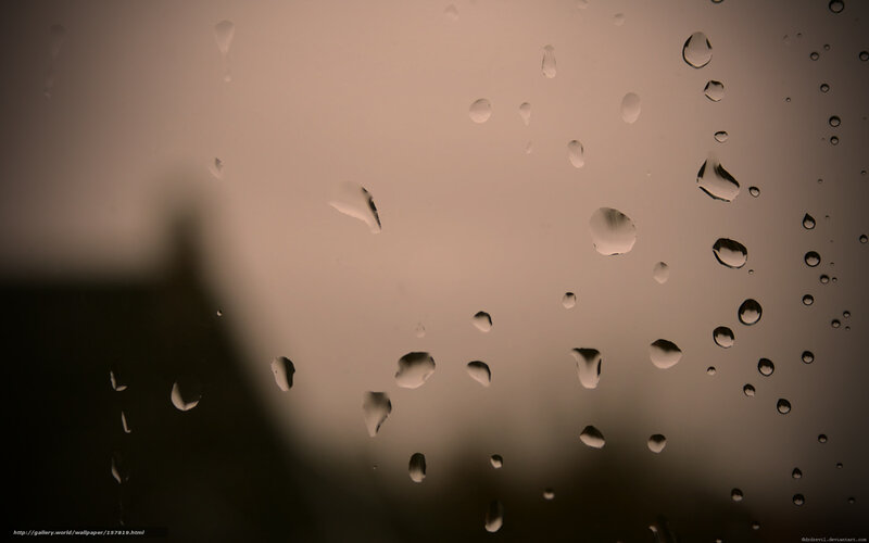 Raindrops on Glass — Brown
