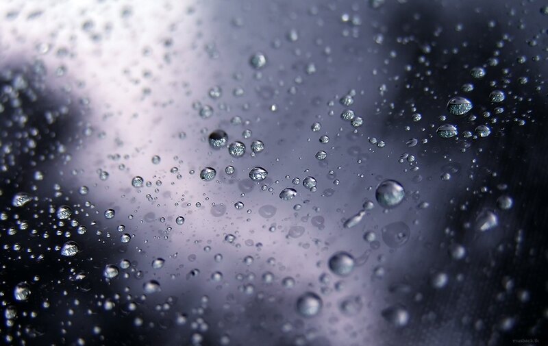 Raindrops on Glass — Droplets, Black