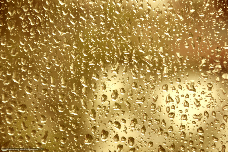 Raindrops on Glass — Gold, Calm