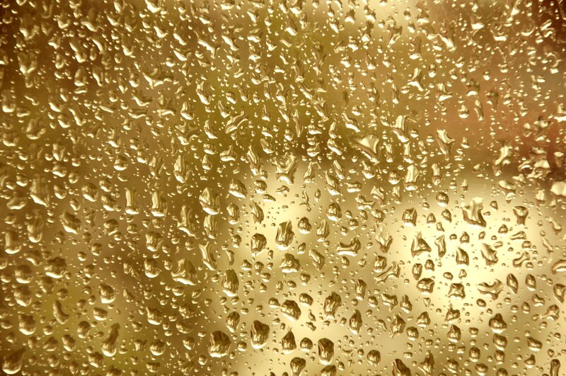 Raindrops on Glass — Gold