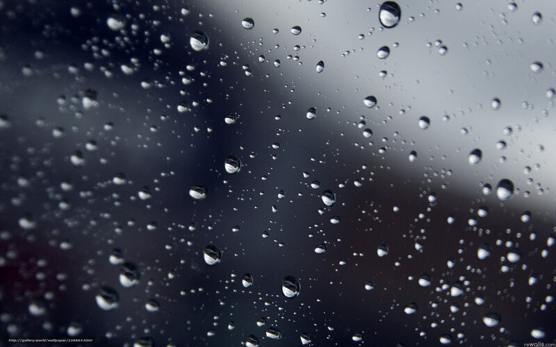 Raindrops on Glass — Gray, Calm, Photograph, Rain, Droplets