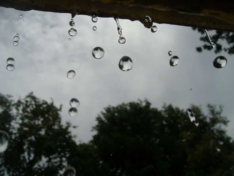 Raindrops on Glass — Gray, Calm, Photograph, Sky, Trees
