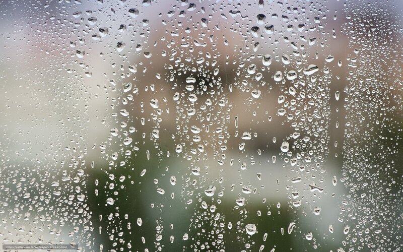 Raindrops on Glass — Gray, Calm, Photograph, Window, Rain