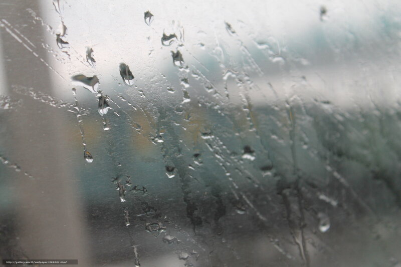 Raindrops on Glass — Gray, Damp