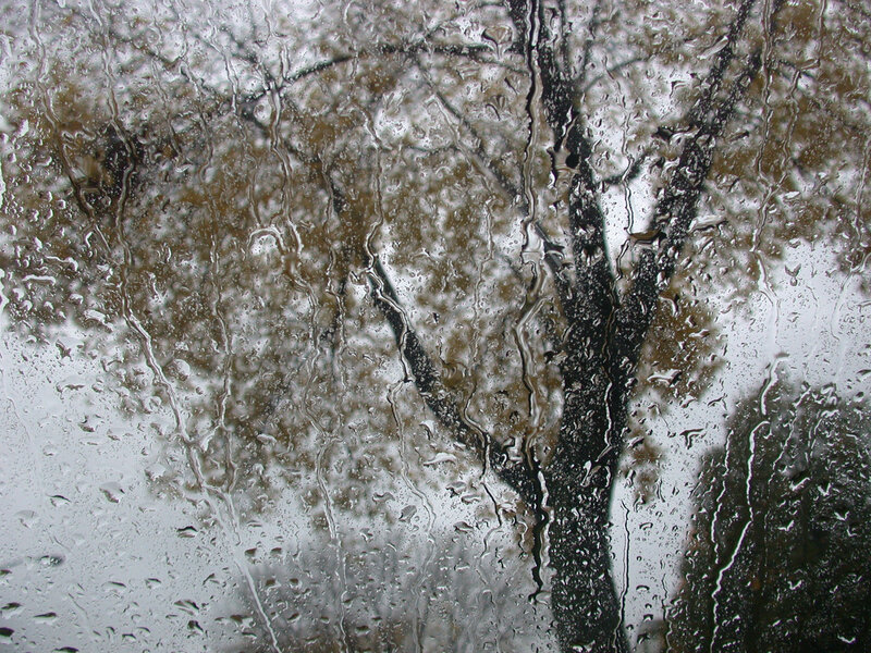 Raindrops on Glass — Gray, Dreary