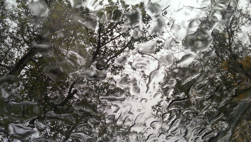 Raindrops on Glass — Gray, Overcast, Autumn