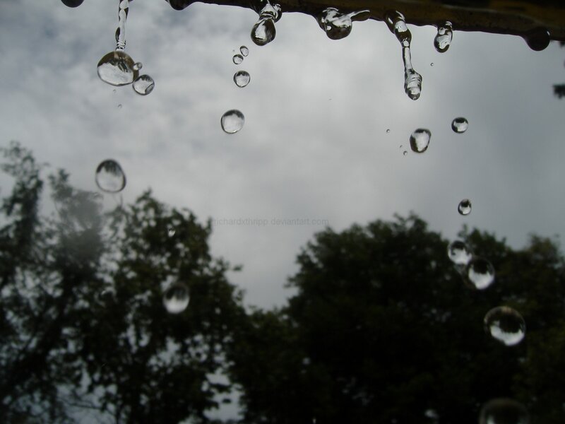 Raindrops on Glass — Gray, Overcast, Photograph, Sky, Trees