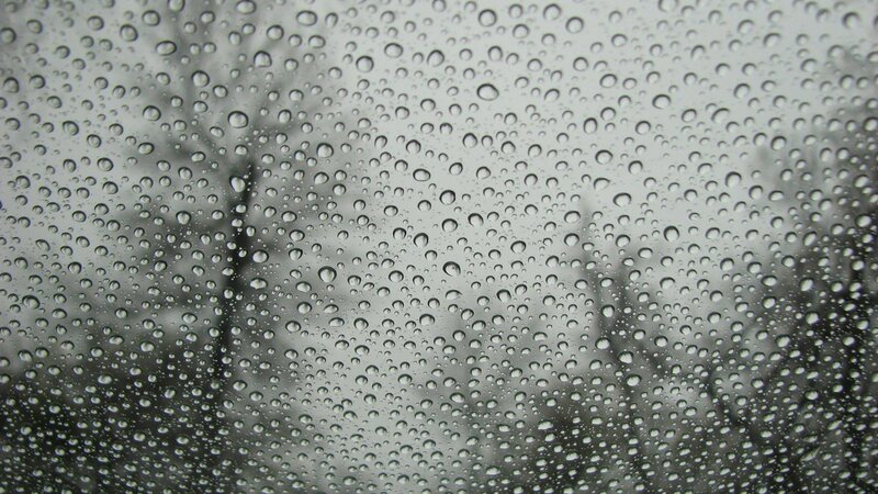 Raindrops on Glass — Gray, Overcast, Photograph, Trees, Sky