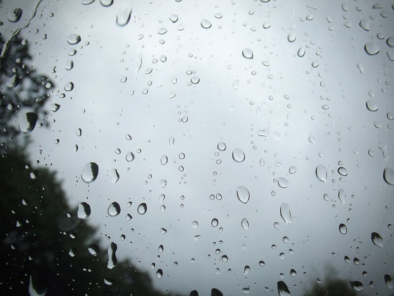 Raindrops on Glass — Gray, Overcast, Photograph, Trees, Sky, White