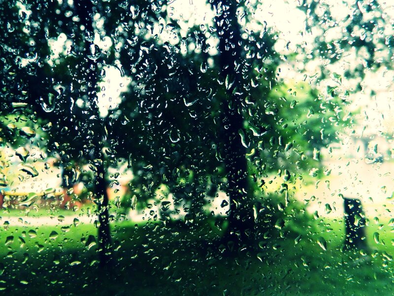 Raindrops on Glass — Green, Calm, Afternoon, Photograph, Trees, Grass