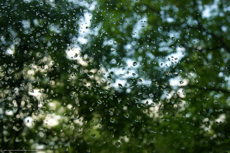 Raindrops on Glass — Green, Calm, Afternoon