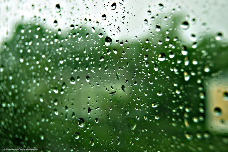 Raindrops on Glass — Green, Calm, Photograph, Green Foliage