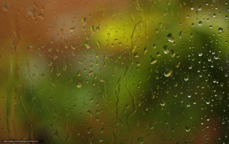 Raindrops on Glass — Green, Calm, Photograph, Green Leaves, Yellow