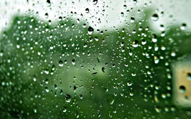 Raindrops on Glass — Green, Calm, Photograph, Greenery