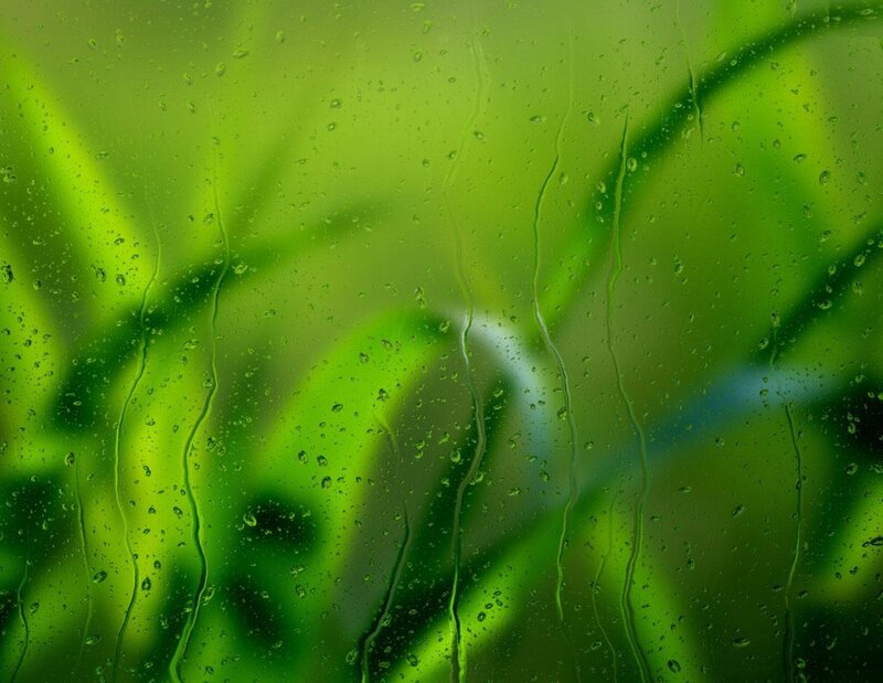 Raindrops on Glass — Green, Calm, Photograph