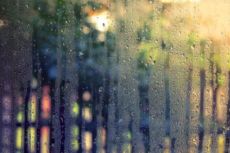 Raindrops on Glass — Green, Calm, Sunset, Photograph