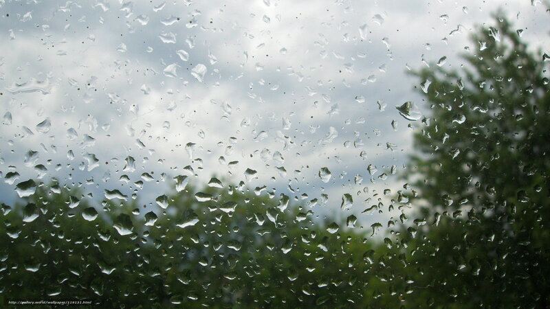 Raindrops on Glass — Green, Overcast, Photograph