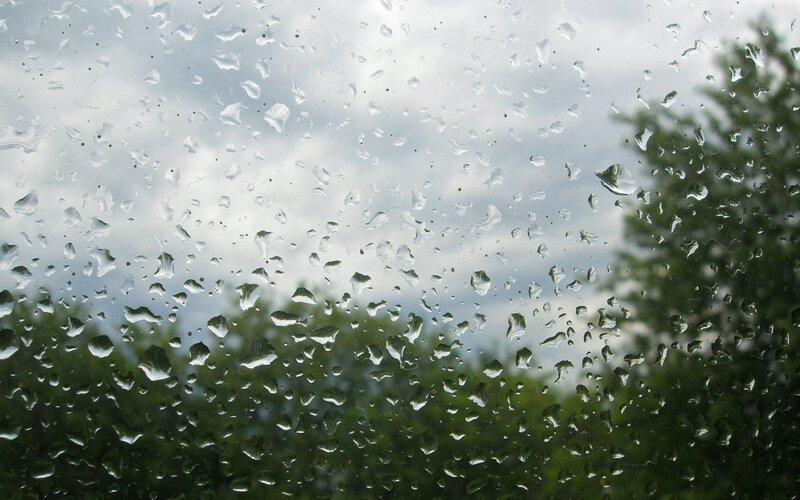 Raindrops on Glass — Green, Overcast