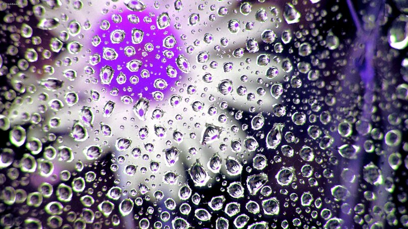Raindrops on Glass — Purple, Abstract