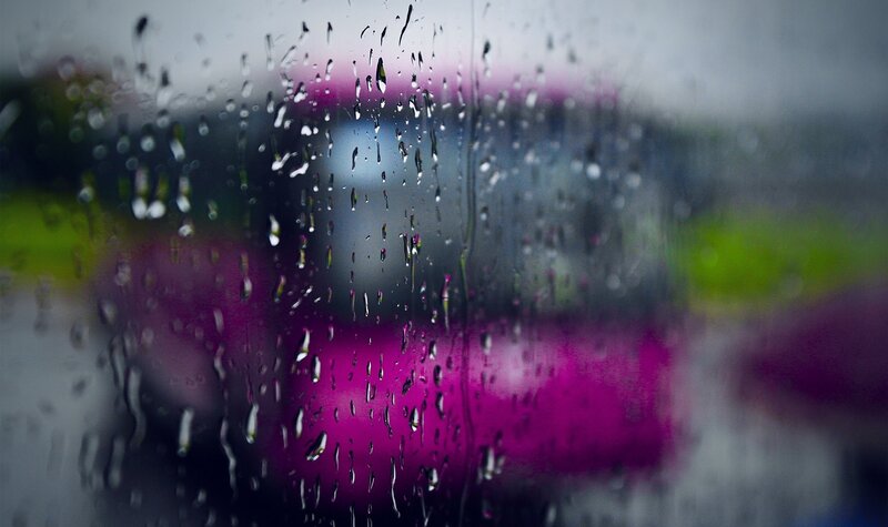Raindrops on Glass — Purple