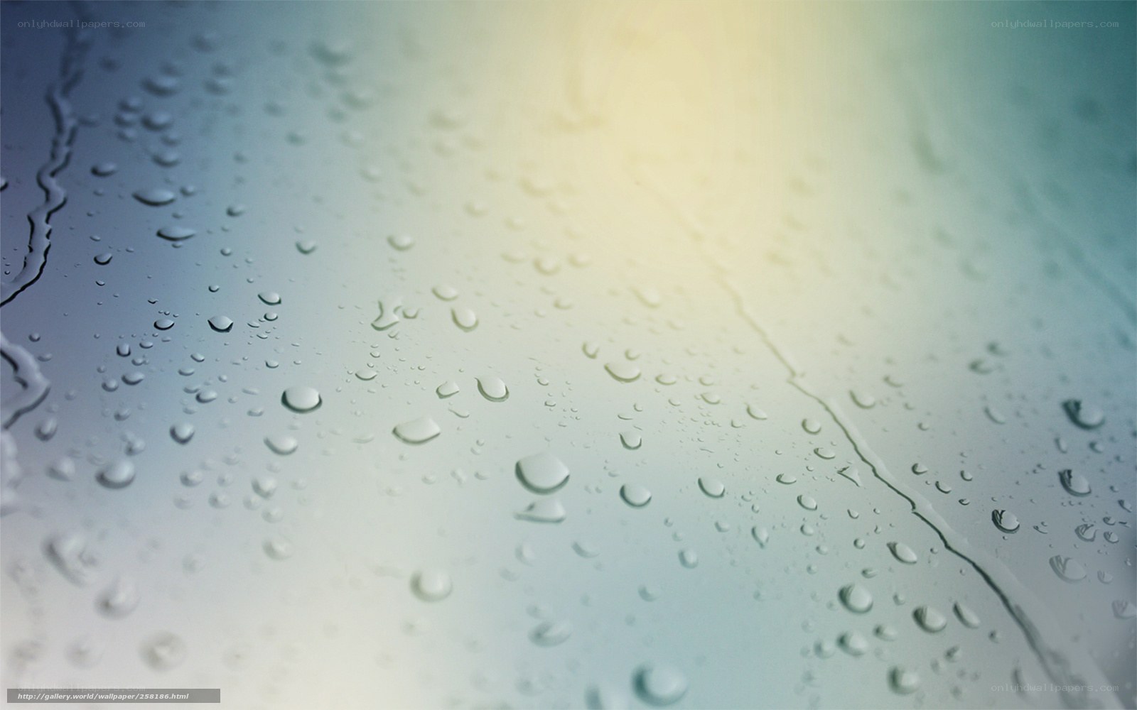 raindrops on glass surface