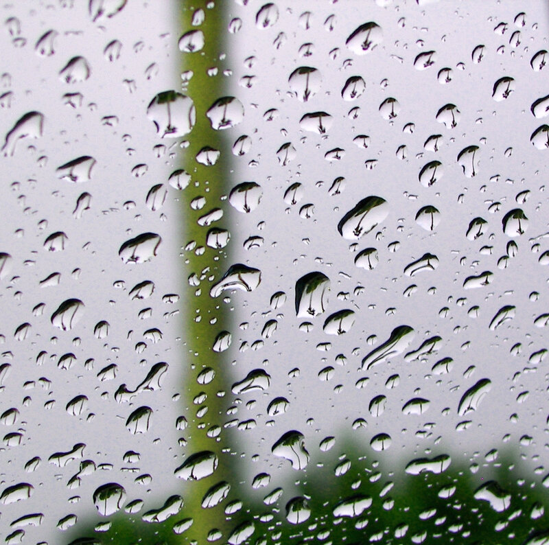 Raindrops on Glass — White, Calm, Photograph, Green Plant