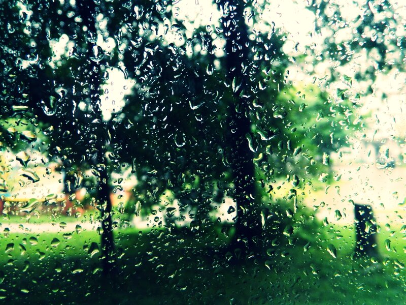 Raindrops on Glass Window — Green