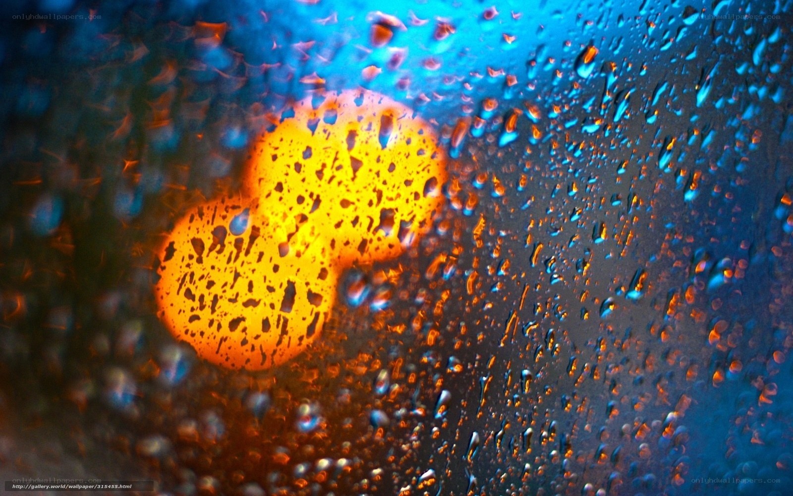 Raindrops on glass with city lights