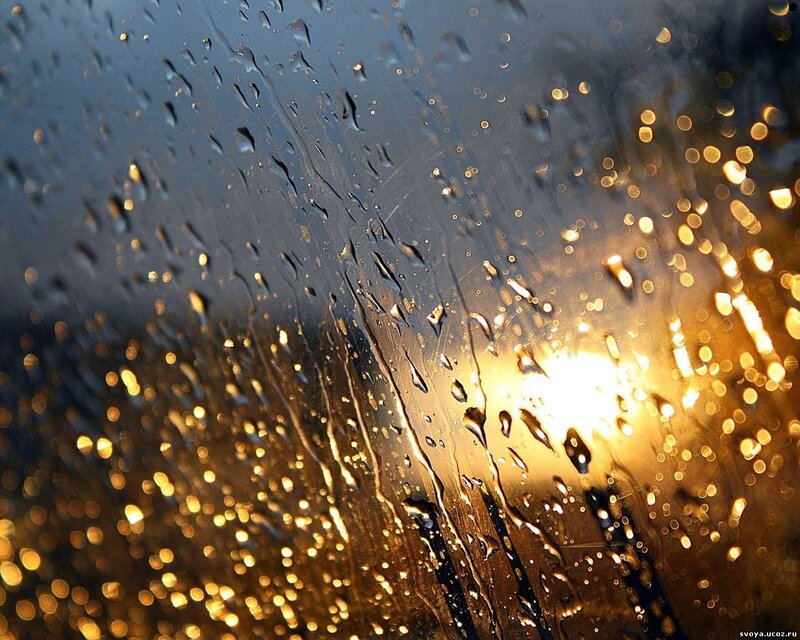 raindrops on glass with golden light