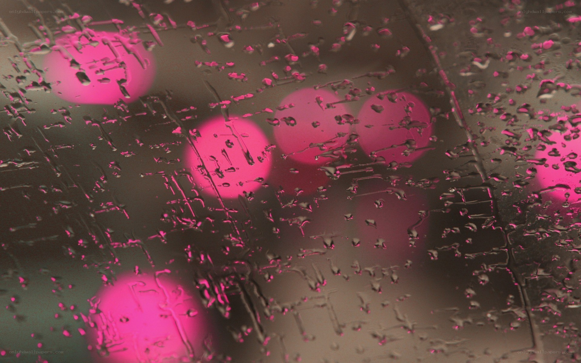 raindrops on glass with pink lights